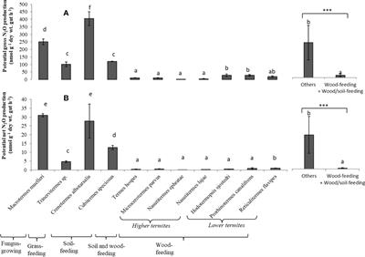 Potential gross and net N2O production by the gut of different termite species are related to the abundance of nitrifier and denitrifier groups